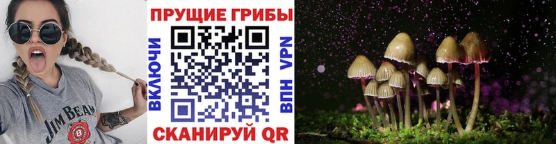 Галлюциногенные грибы ЛСД  как найти закладки  Верхний Уфалей 